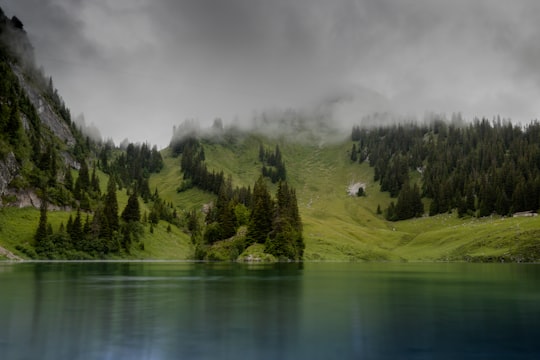 green trees on mountain near body of water during daytime in Hinderstockesee Switzerland