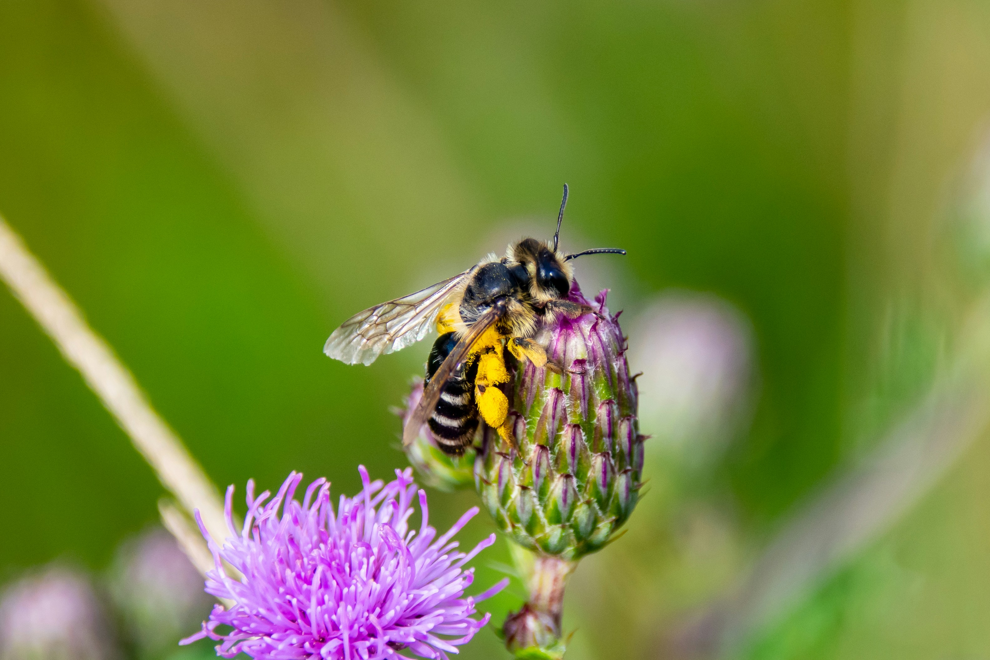 Photo by marc_renken