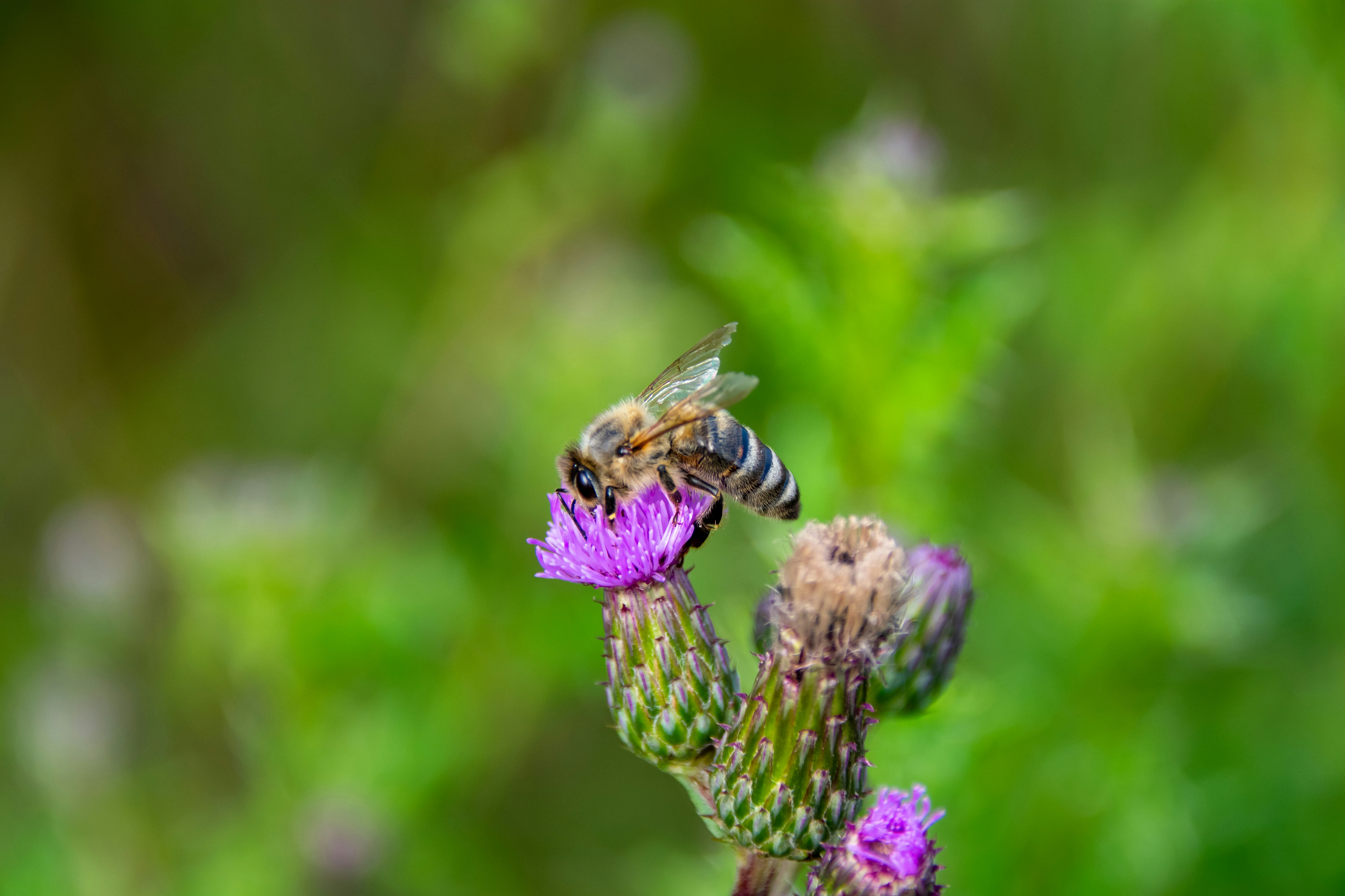 Photo by marc_renken