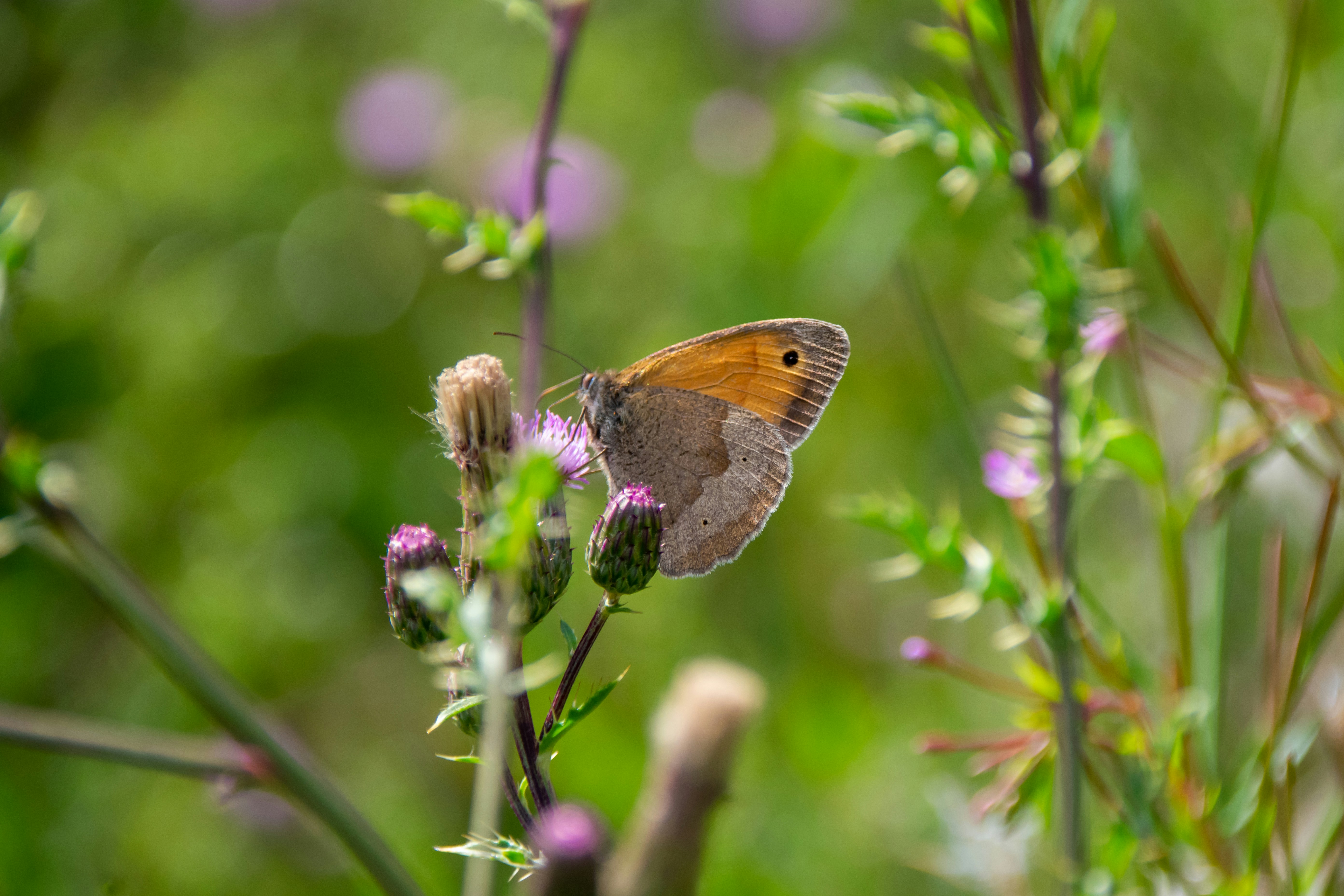 Photo by marc_renken