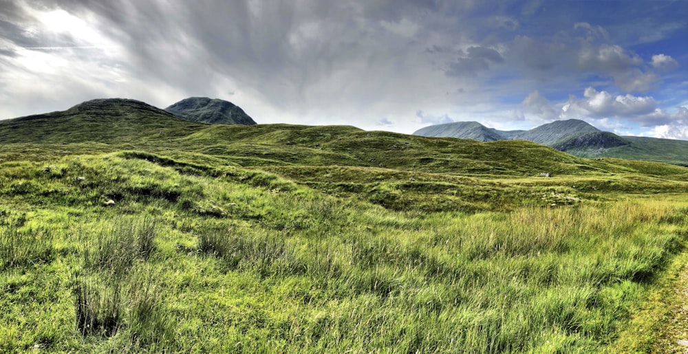 Champ d’herbe verte près de la montagne sous les nuages blancs pendant la journée