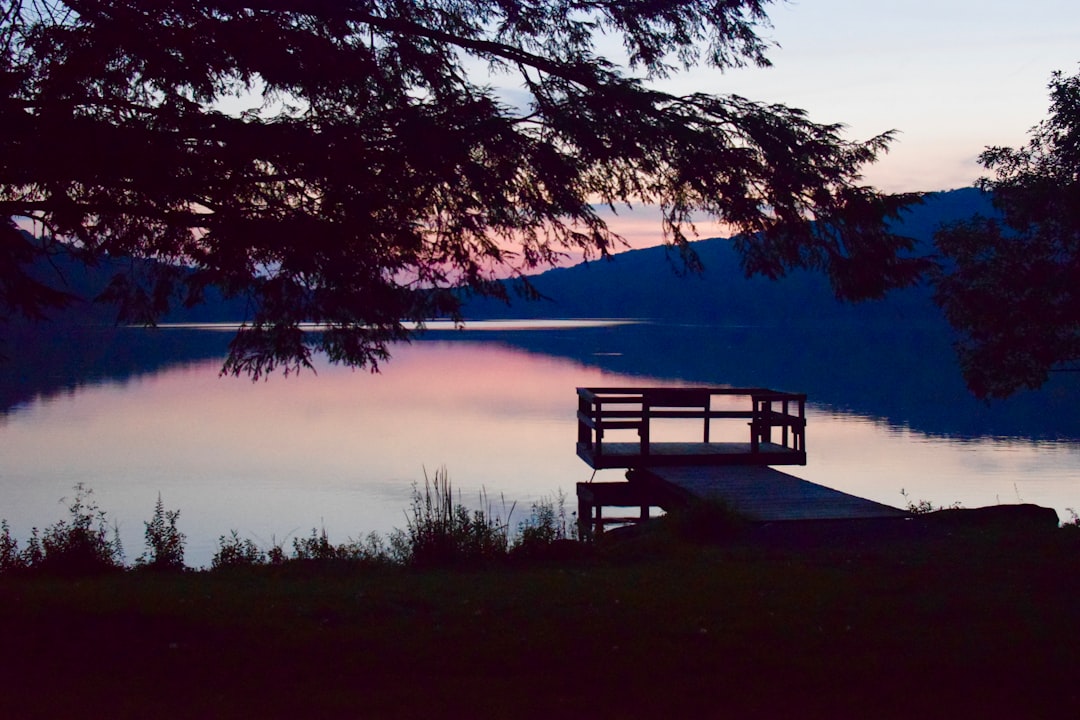 brown wooden bench near lake during night time