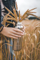 Hands gently holding a bottle filled with vibrant vegetable juice, with a farm field blurred in the background.