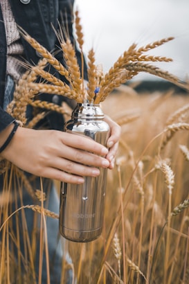 Hands gently hold a metal water bottle filled with wheat stalks, surrounded by a field of golden wheat. The scene is earthy and serene, with natural textures and a hint of a blue flower among the stalks.