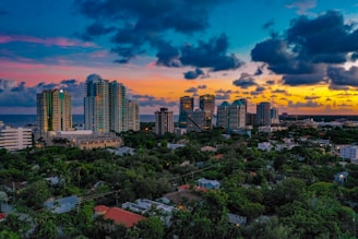 city with high rise buildings under blue sky during daytime