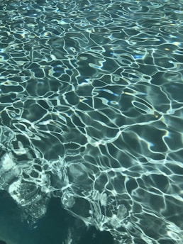 body of water during daytime