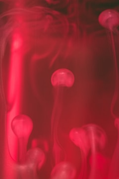 A surreal animated scene blending dreamlike colors and fluid shapes.