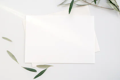 Plantilla Alba Sage