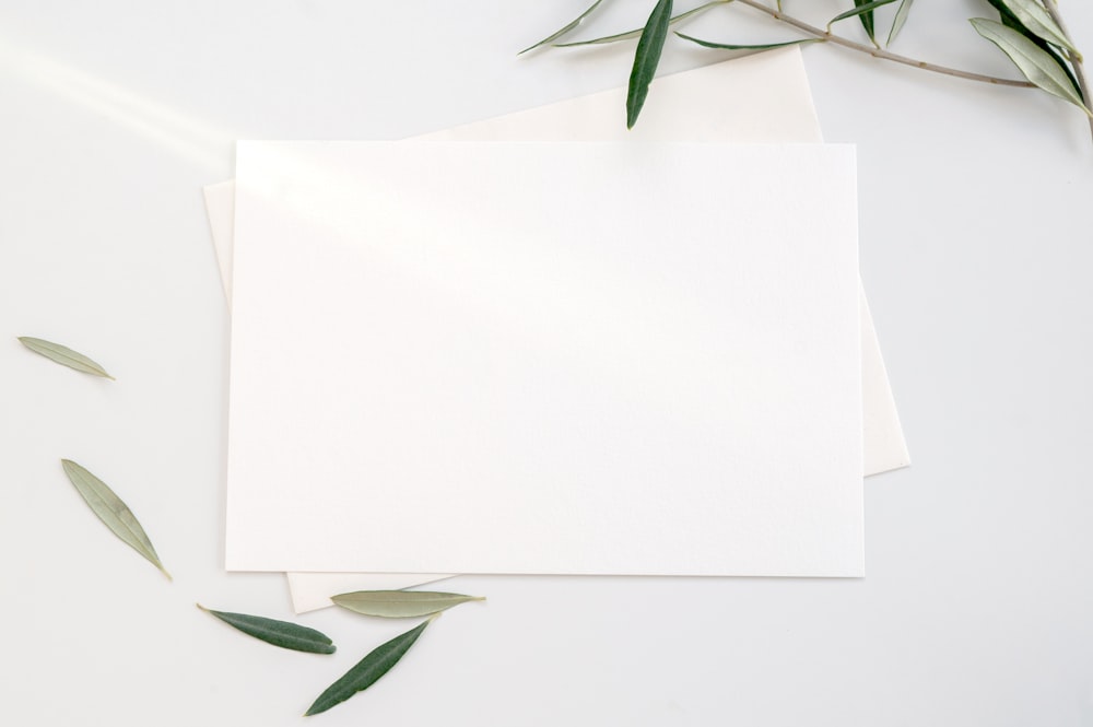 white printer paper with green leaves