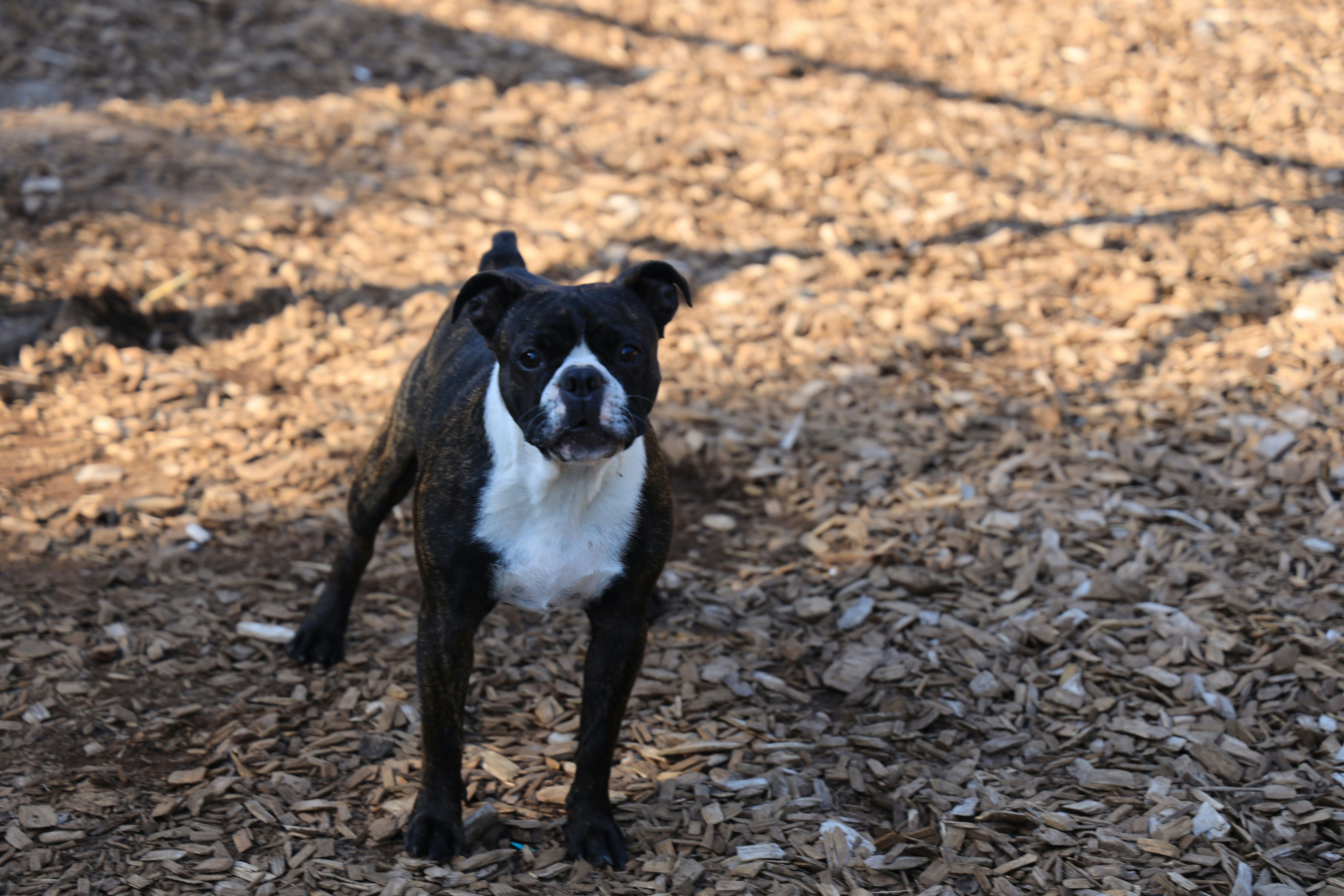 Photo by richardworks