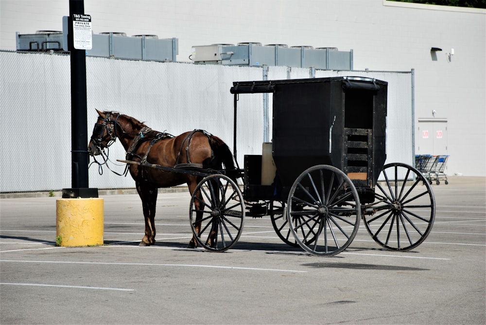 brown horse with black carriage on road during daytime