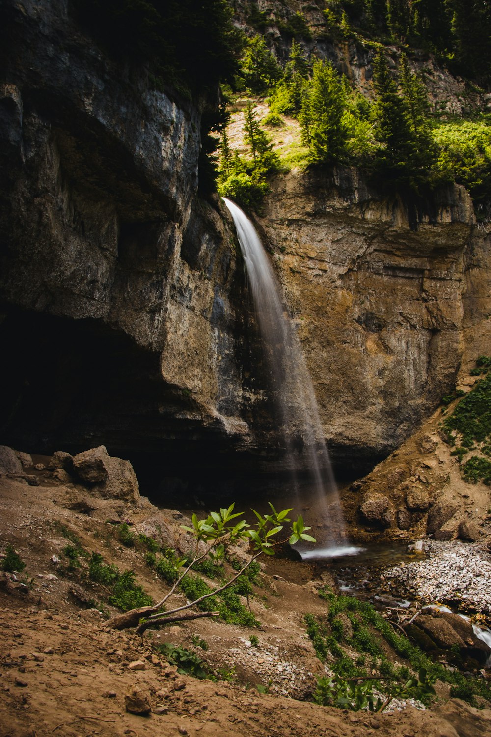 waterfalls in the middle of the forest during daytime