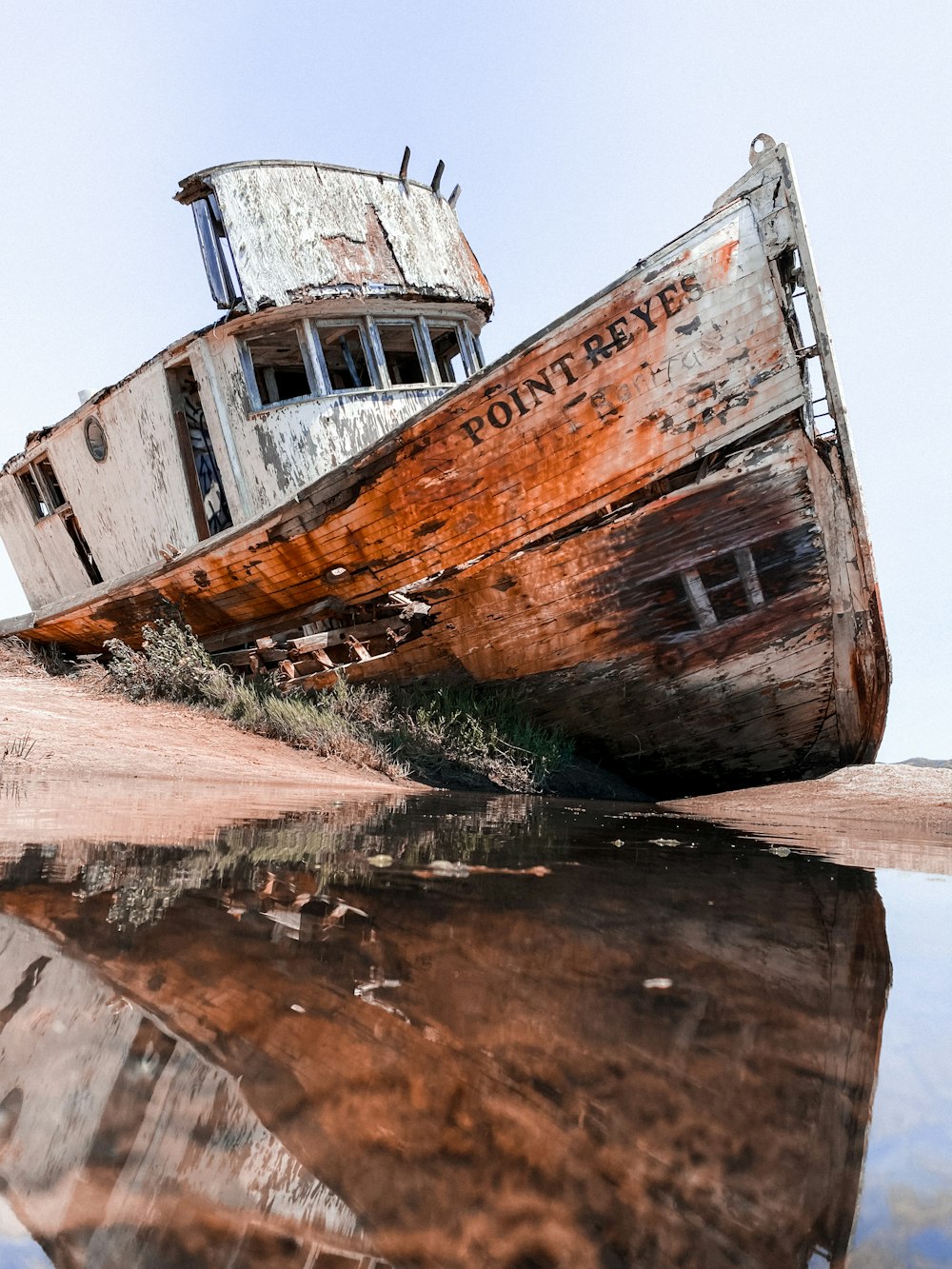 Braun-weißes Schiff auf braunem Holzstamm