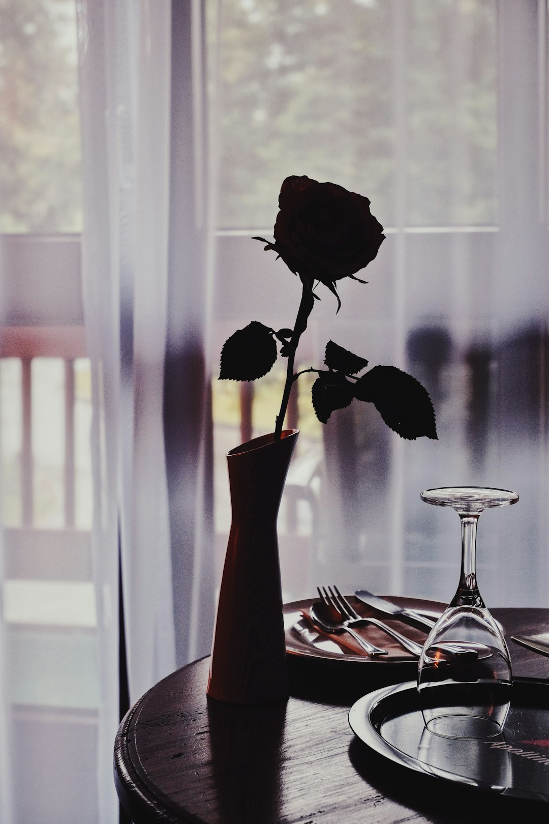black rose in clear glass vase on table