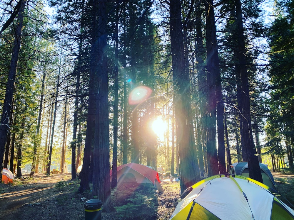 yellow dome tent in forest during daytime