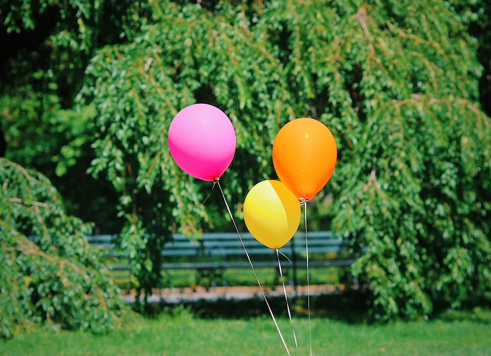 yellow pink and orange balloons