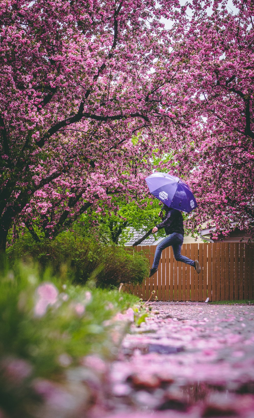 person in black jacket and black pants holding white umbrella walking on green grass field during