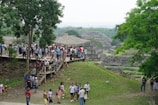 A historical site with stone structures and pyramids in the background is bustling with visitors. A diverse group of people are walking on a wooden pathway, surrounded by lush greenery. Large trees provide shade, and grassy areas cover the landscape.