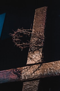 brown concrete building during night time