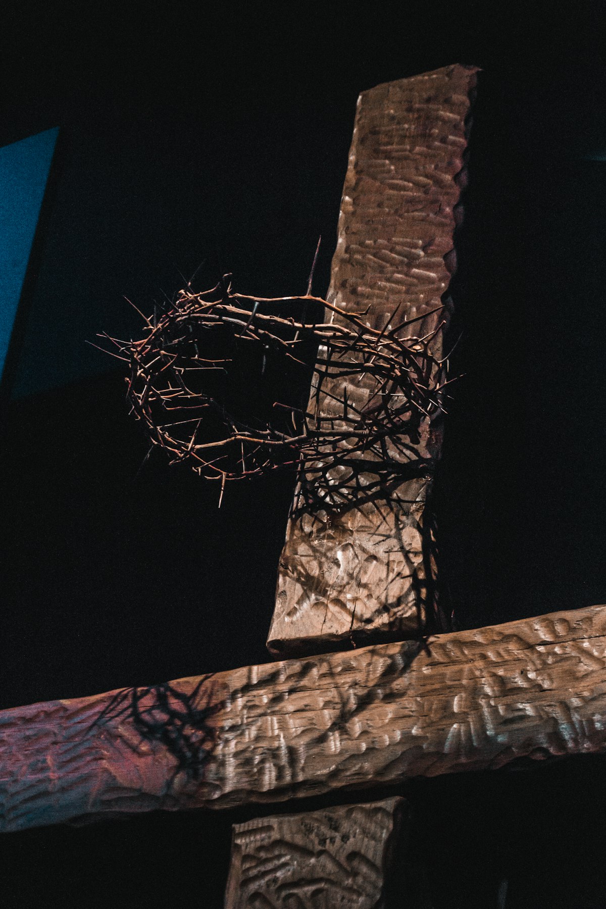 A Thorn from Christ’s Crown of Thorns Now an NFT
