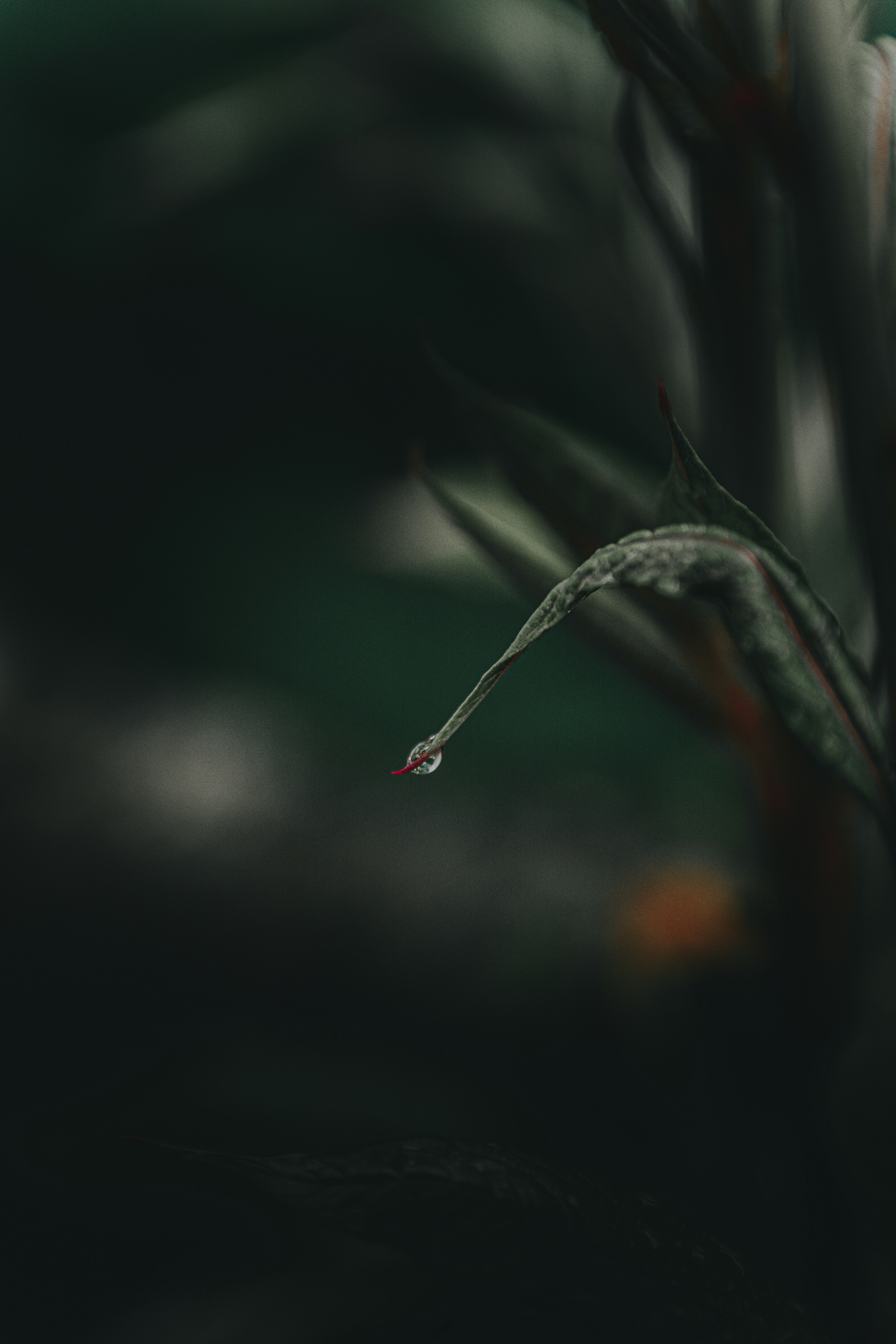 Photo by andersonrangel