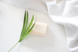 Minimalist scene showing a transparent glycerin soap with embedded botanicals and soft natural light.