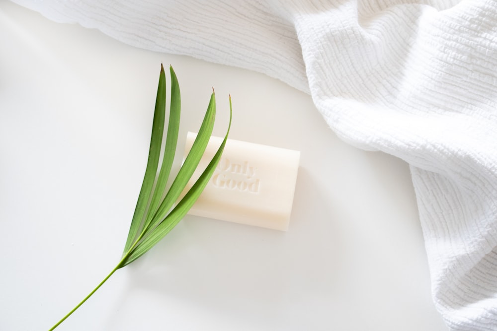 white textile with green leaves