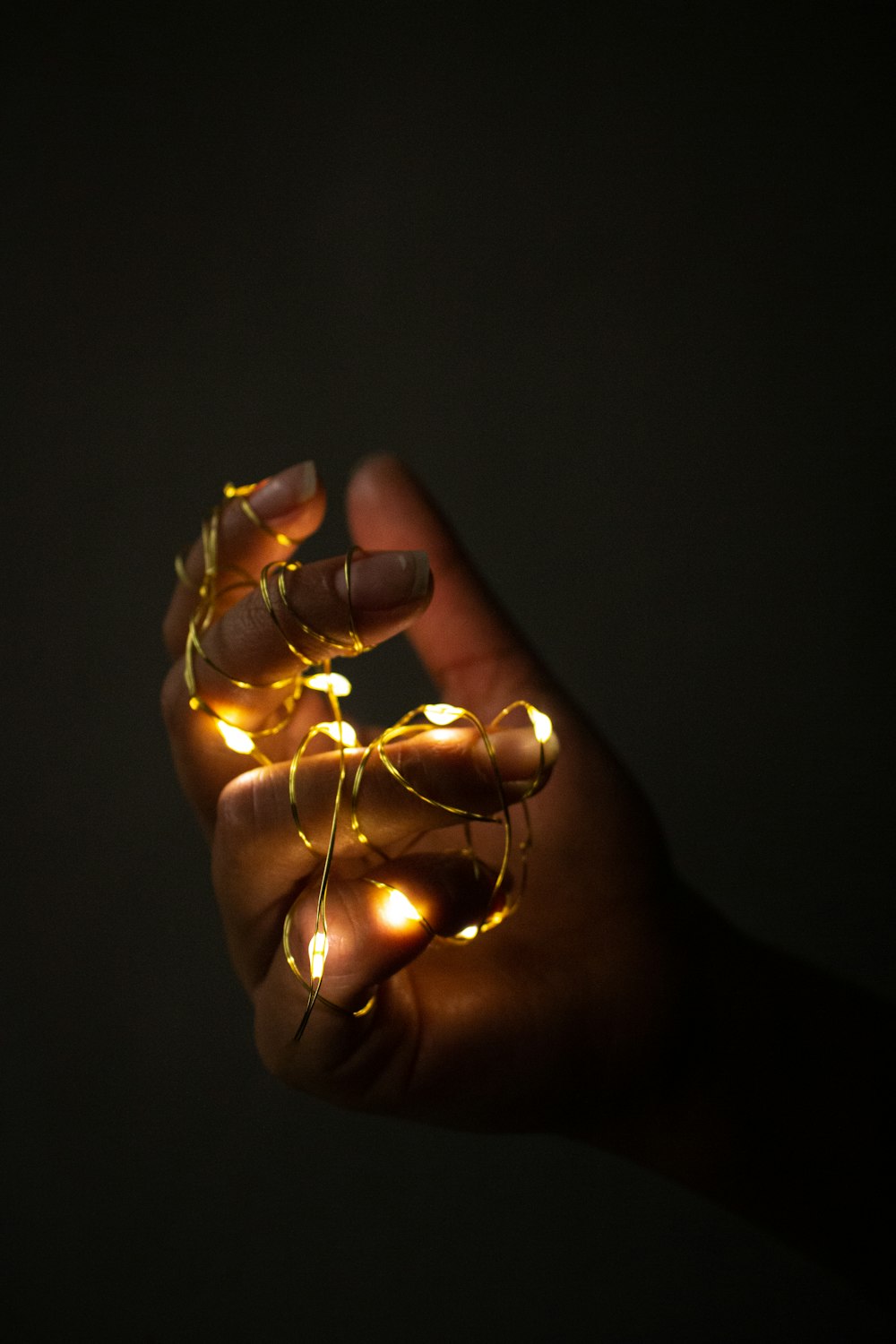 person holding gold string lights