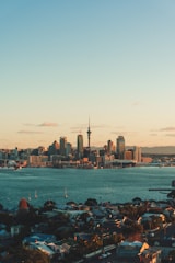 city skyline across body of water during daytime
