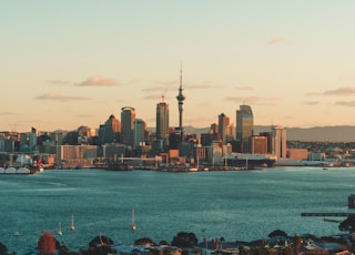 city skyline across body of water during daytime