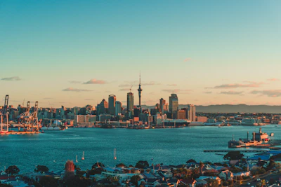The Auckland skyline and harbor under a warm low sun in New Zealand