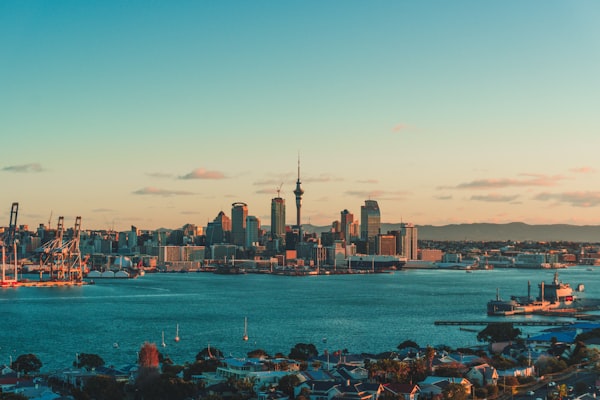 Auckland Sky Tower and harbour city skyline