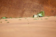 Close-up of shattered plates on the floor with soft green lighting highlighting the fragments.