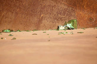 Close-up of shattered plates on the floor with soft green lighting highlighting the fragments.