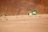 Broken dishes scattered on the floor with a cozy, dark interior background featuring green highlights.