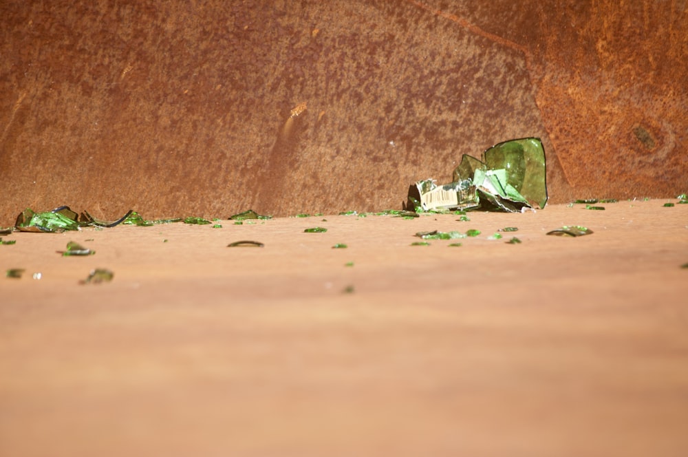 green and white textile on brown sand