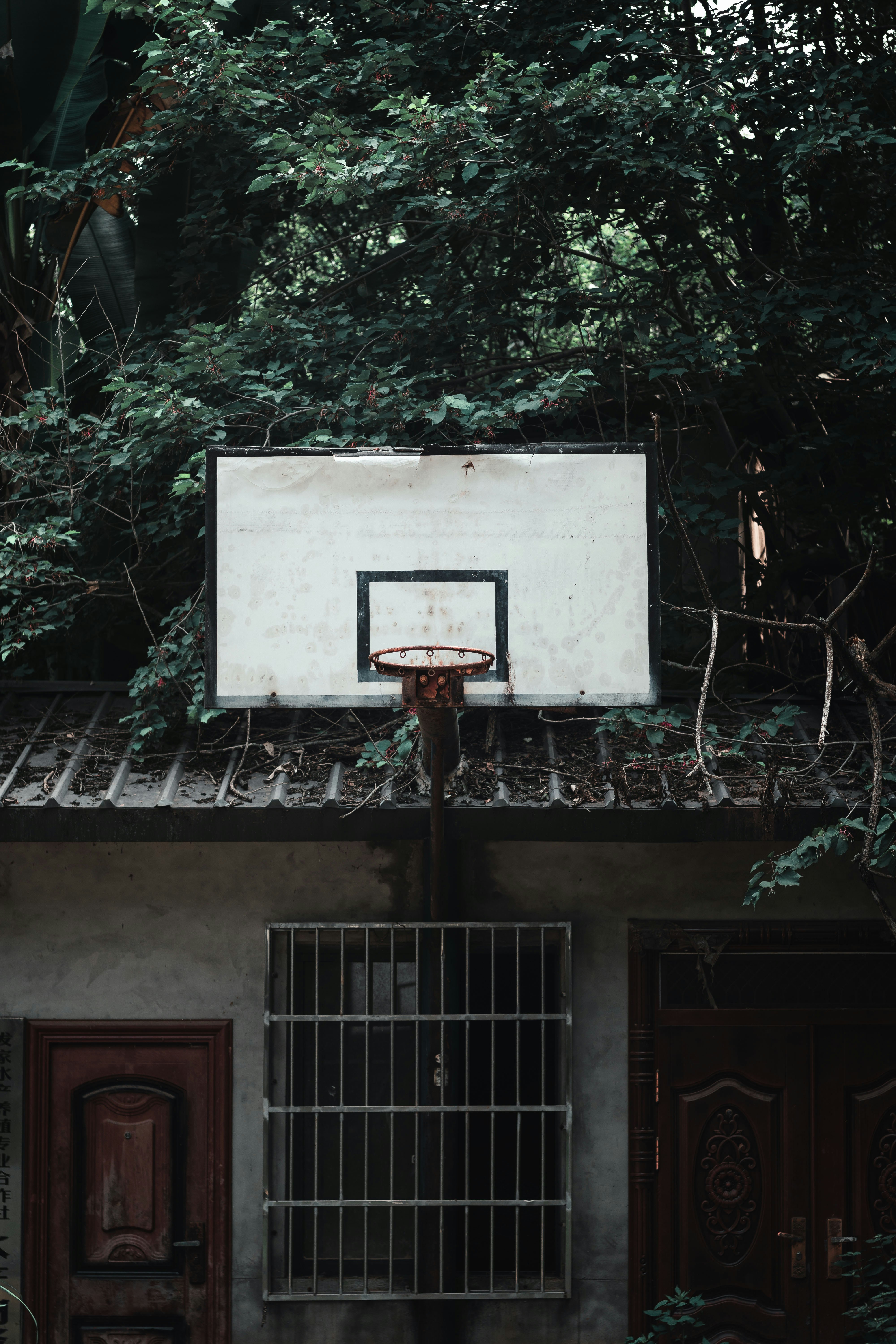 Photo by chengfengrecord