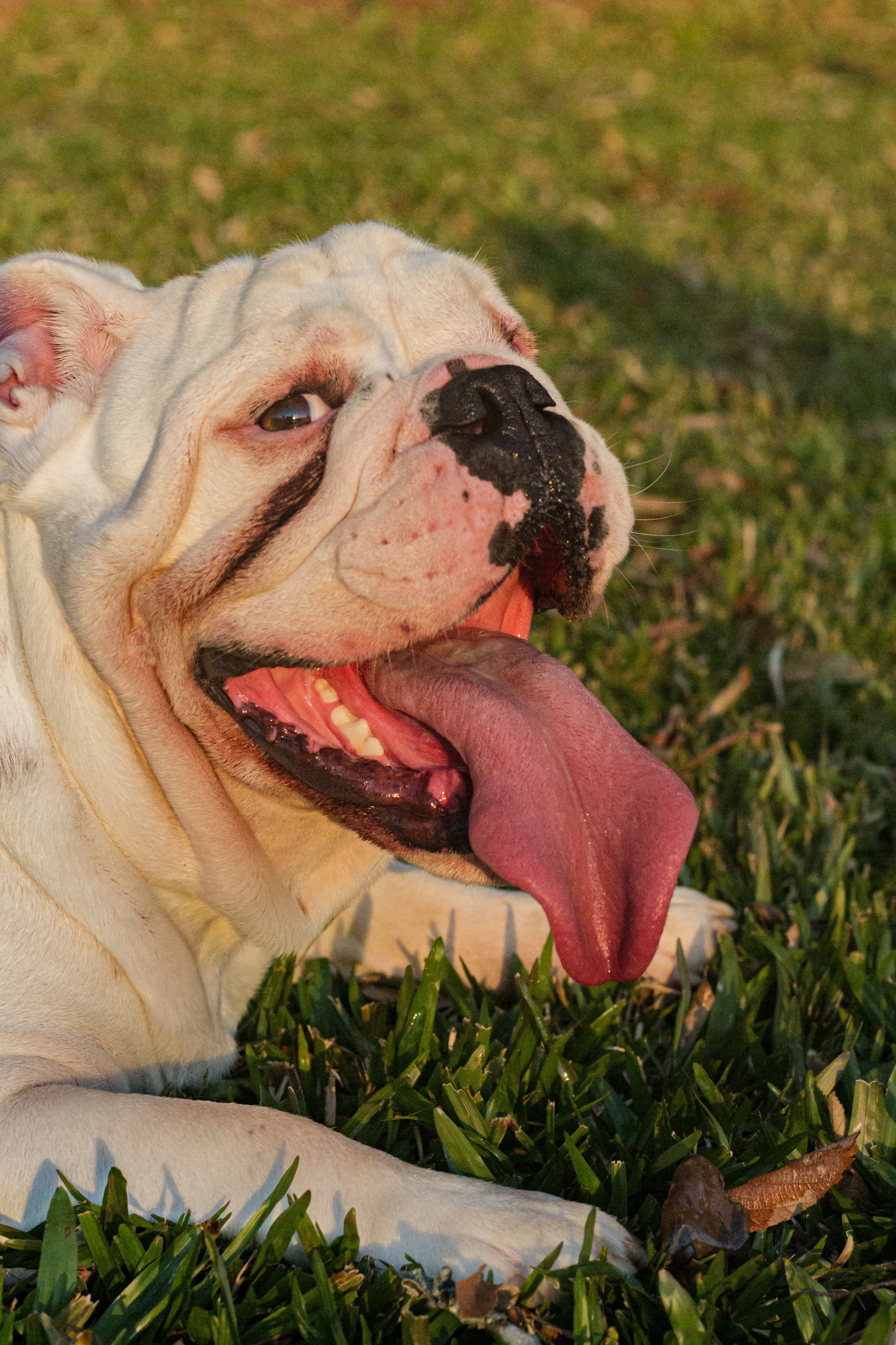 Photo by katalinsalles