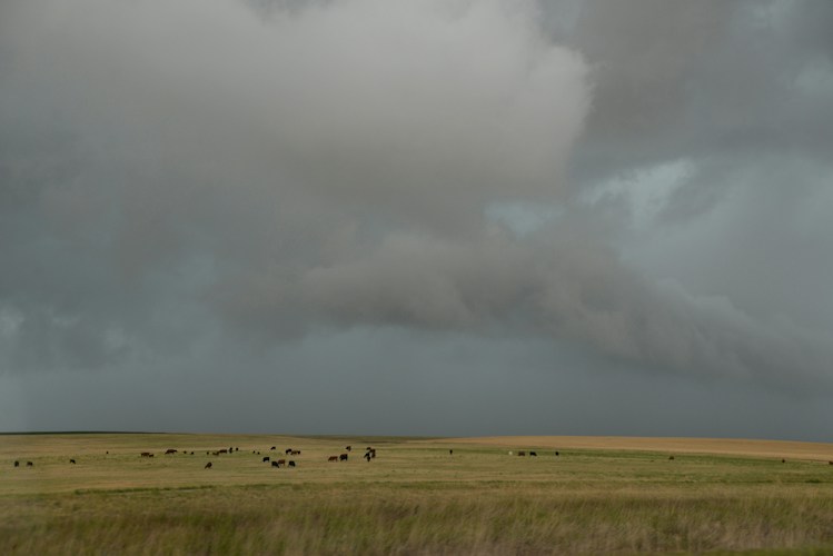 The Homestead Act: Settling the Great Plains