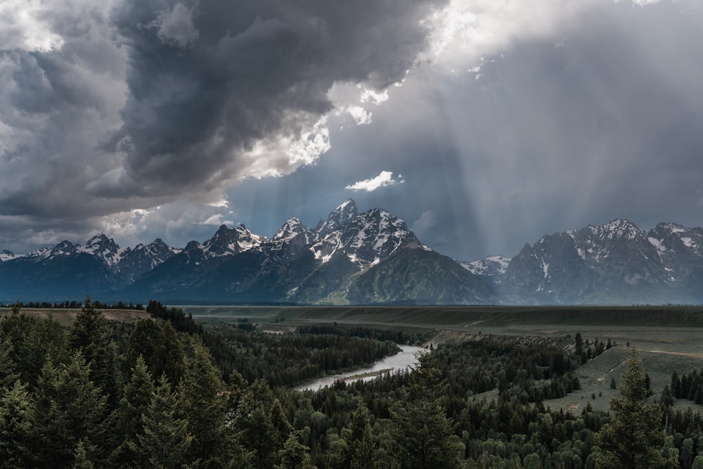 green trees and mountains under white clouds and blue sky during daytime