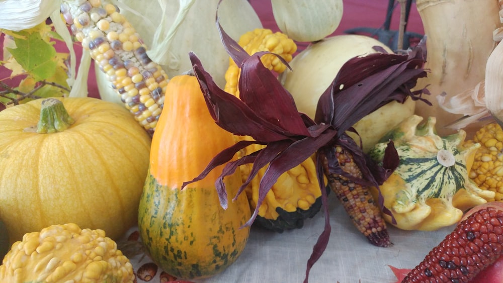 orange and white pumpkin on white textile