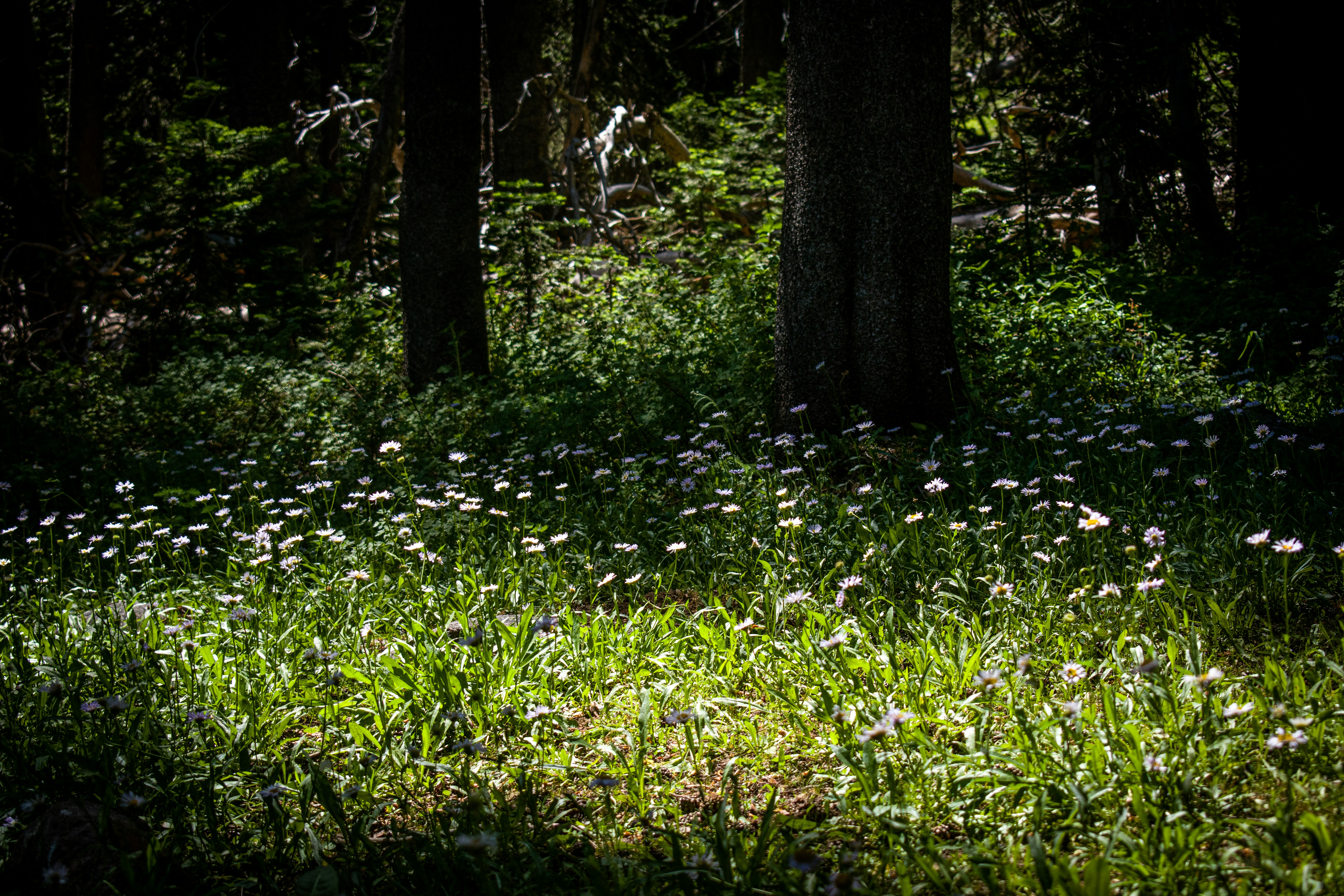 Photo by elisastonephotography