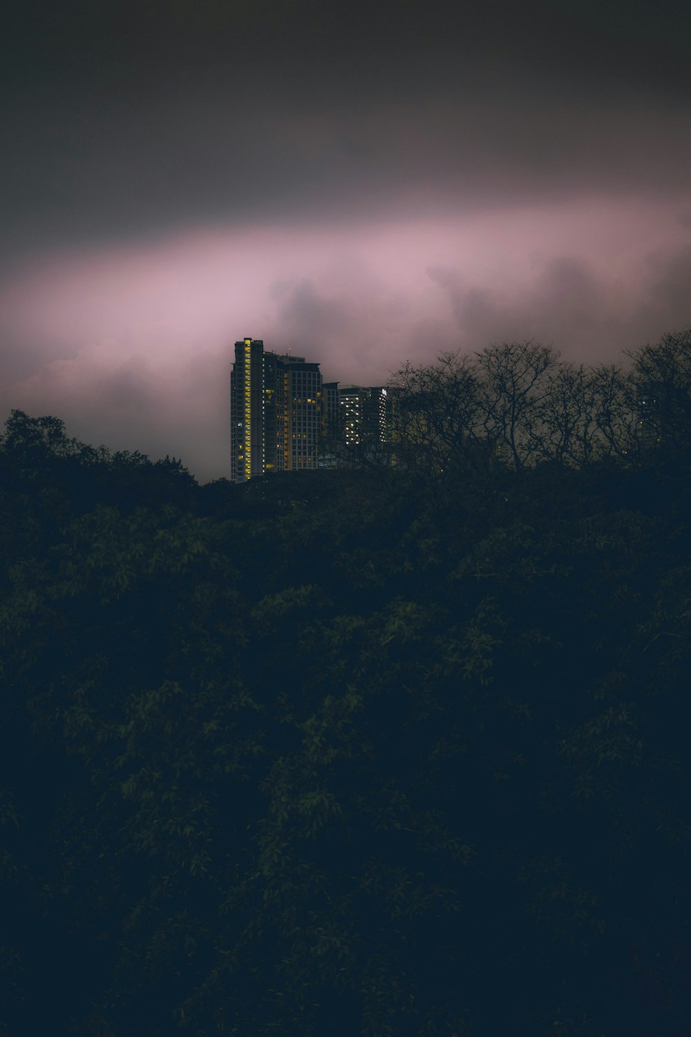 green trees near high rise building