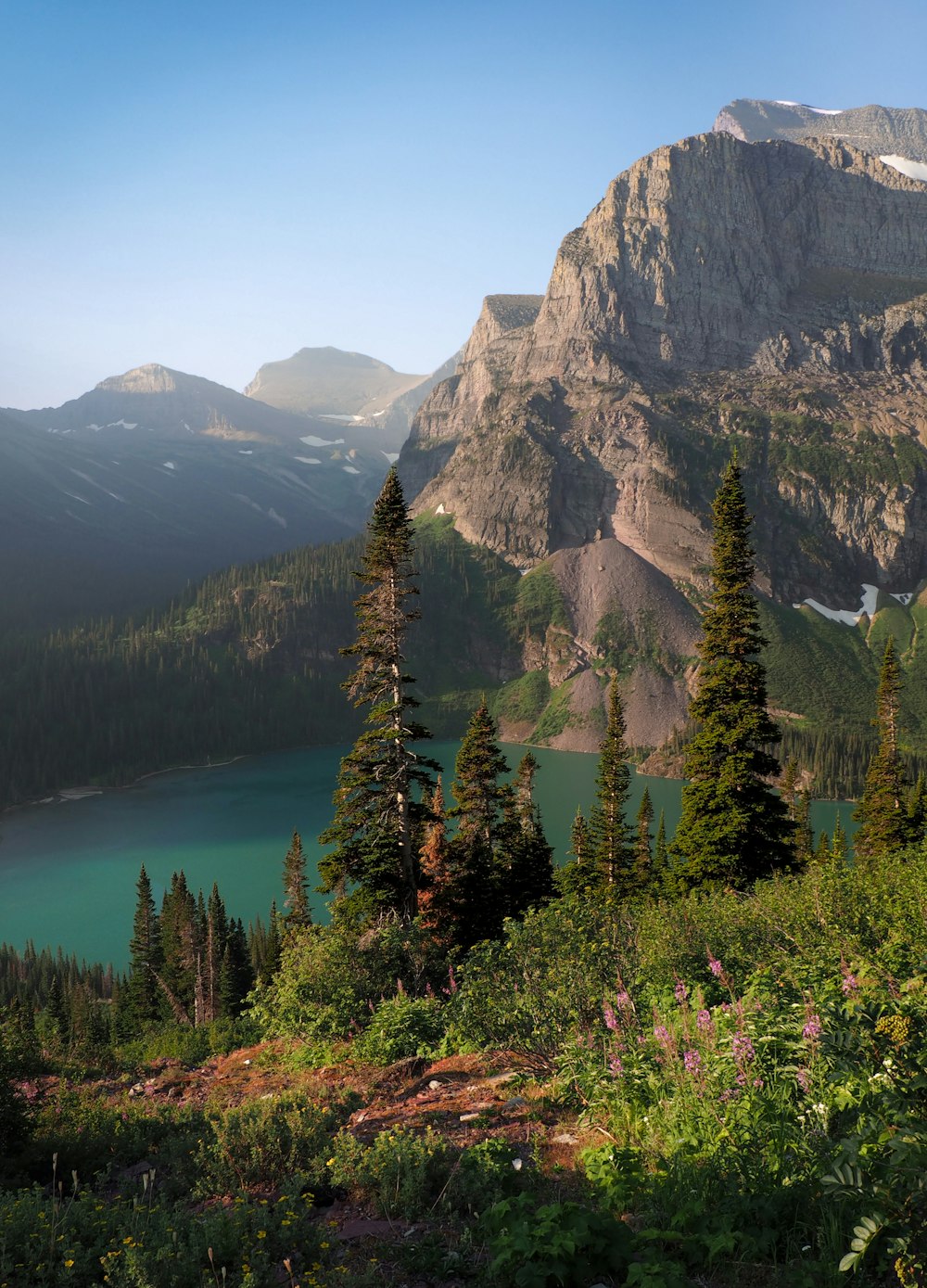 green pine trees near mountain during daytime