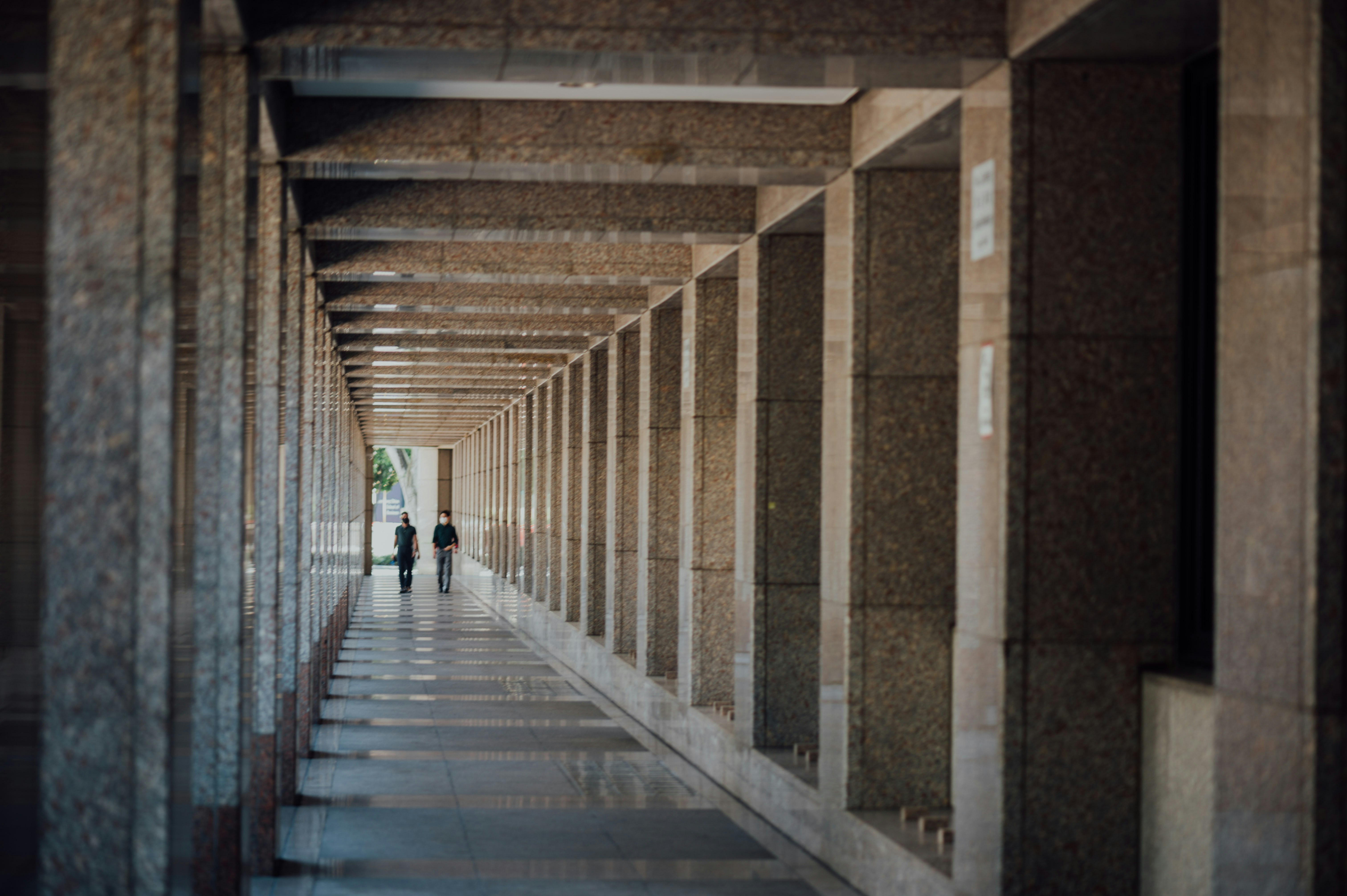 Photo by chuttersnap