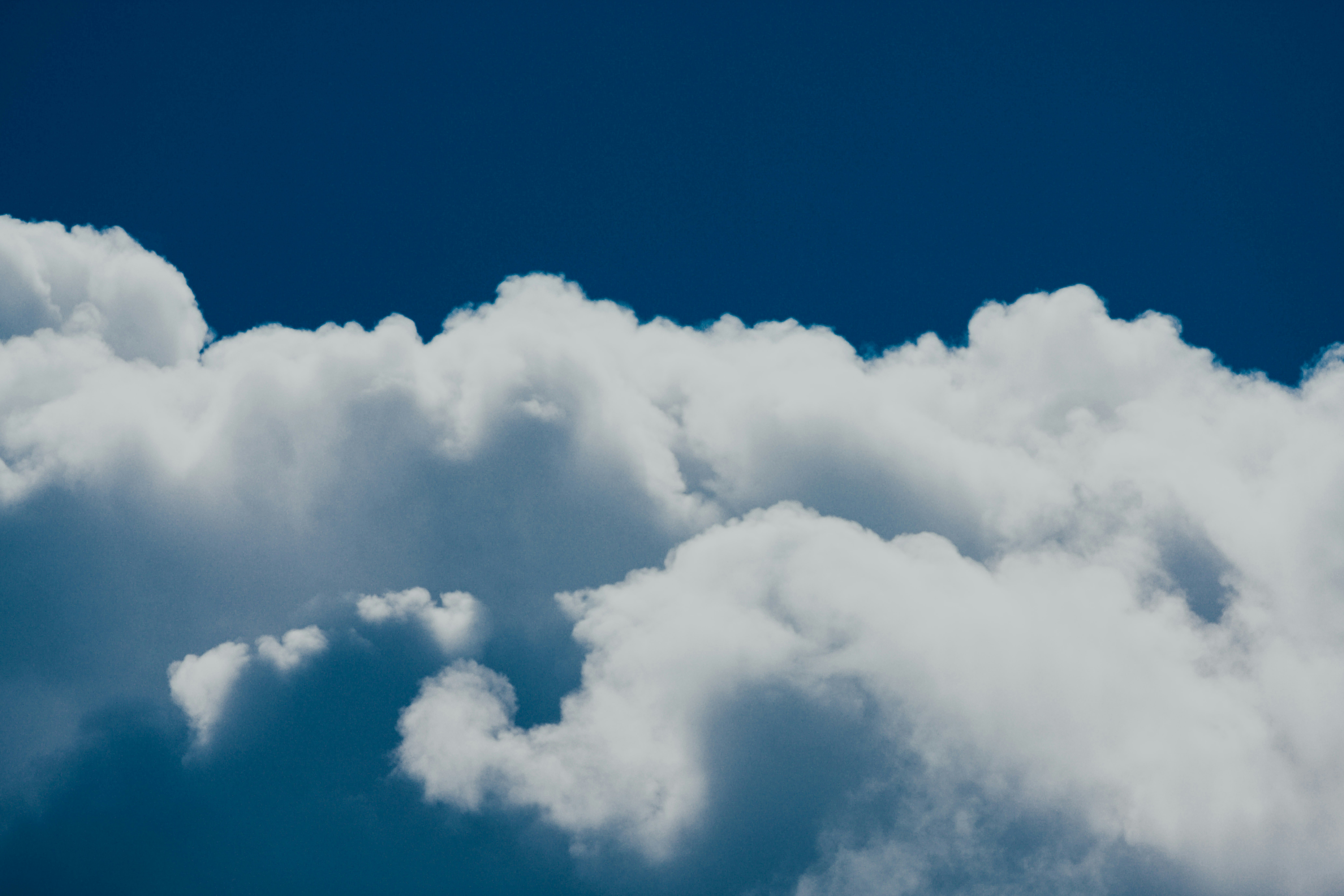 Photo by chuttersnap