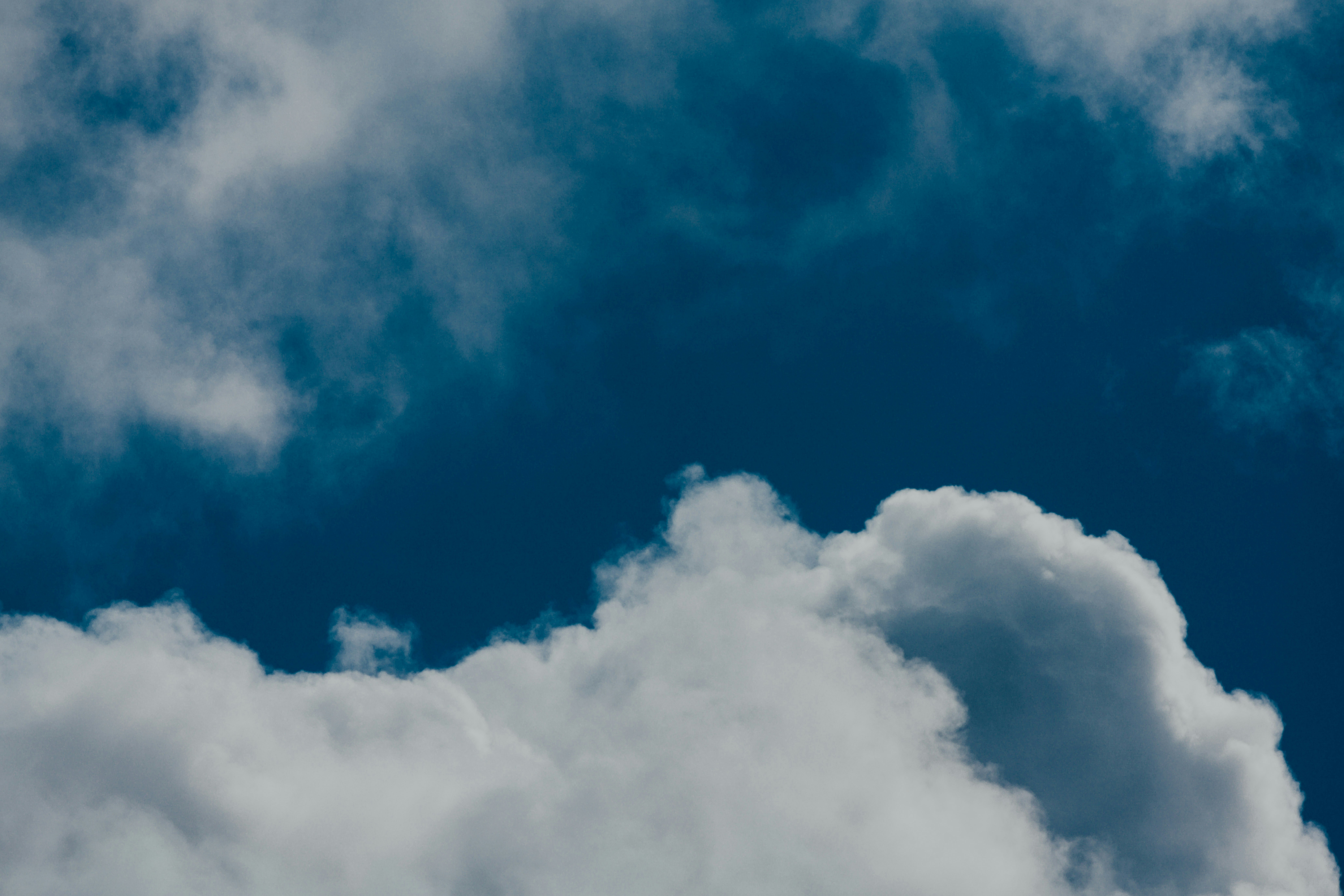 Photo by chuttersnap