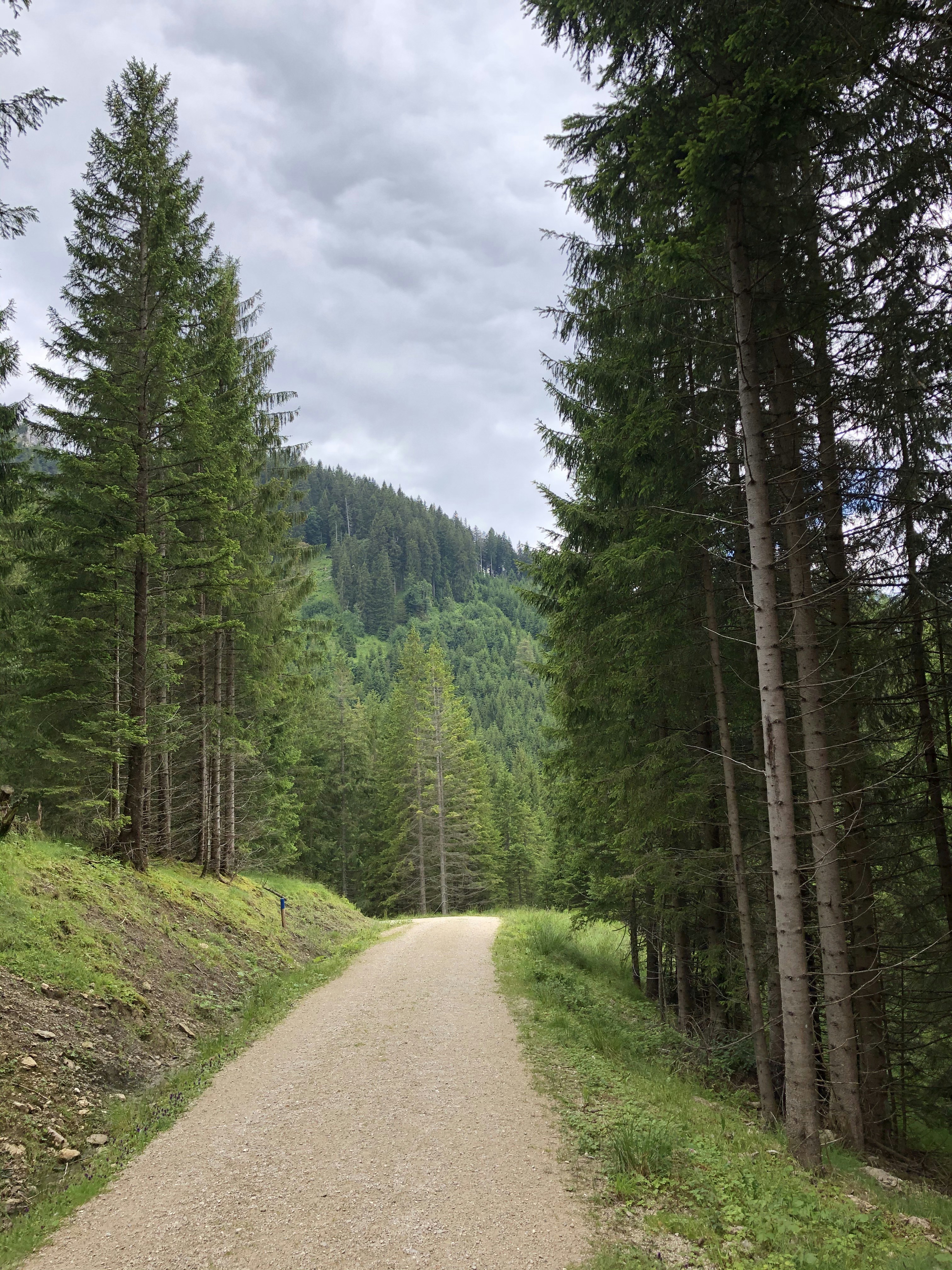 Photo by simonelanger