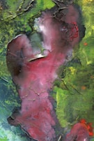 An abstract painting with swirls of red, green, and hints of blue. The textured surface features a mix of vibrant and muted tones, creating an organic pattern reminiscent of natural forms.