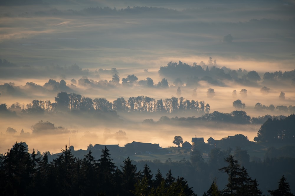 green trees under white clouds during daytime